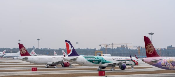 Quels sont les meilleurs itinéraires pour une randonnée en Écosse ?