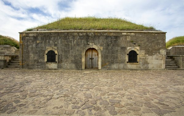 Comment choisir le bon emplacement pour un camping en forêt de hêtres au printemps?